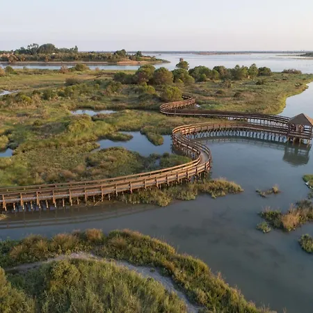 Waterfront In * روسولينا ماري